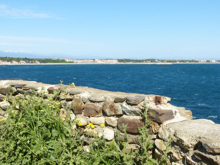 Photo à Argelès-sur-Mer (66700) _ Argelès sur Mer_ Sentier du littoral_
