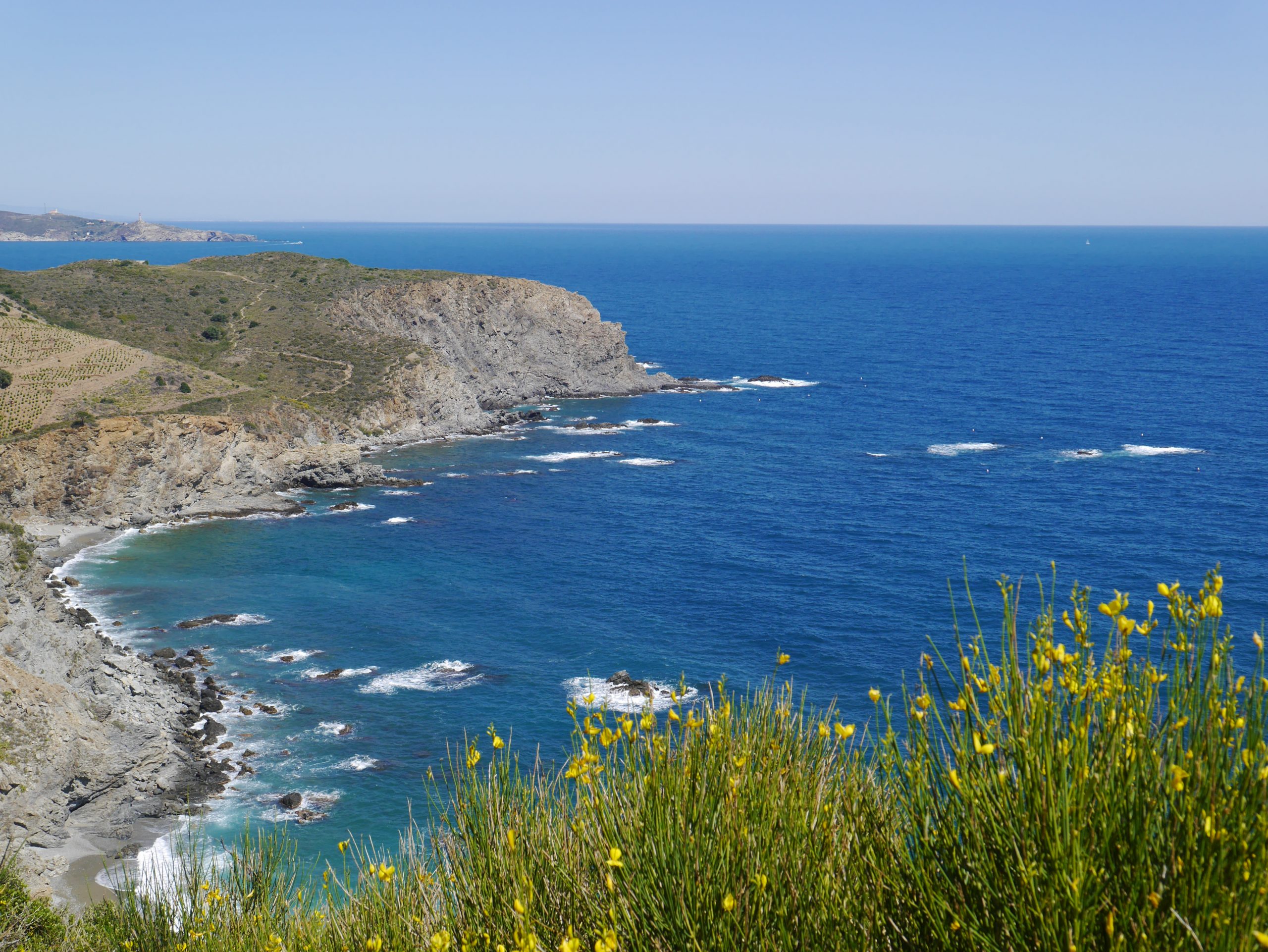 Collioure