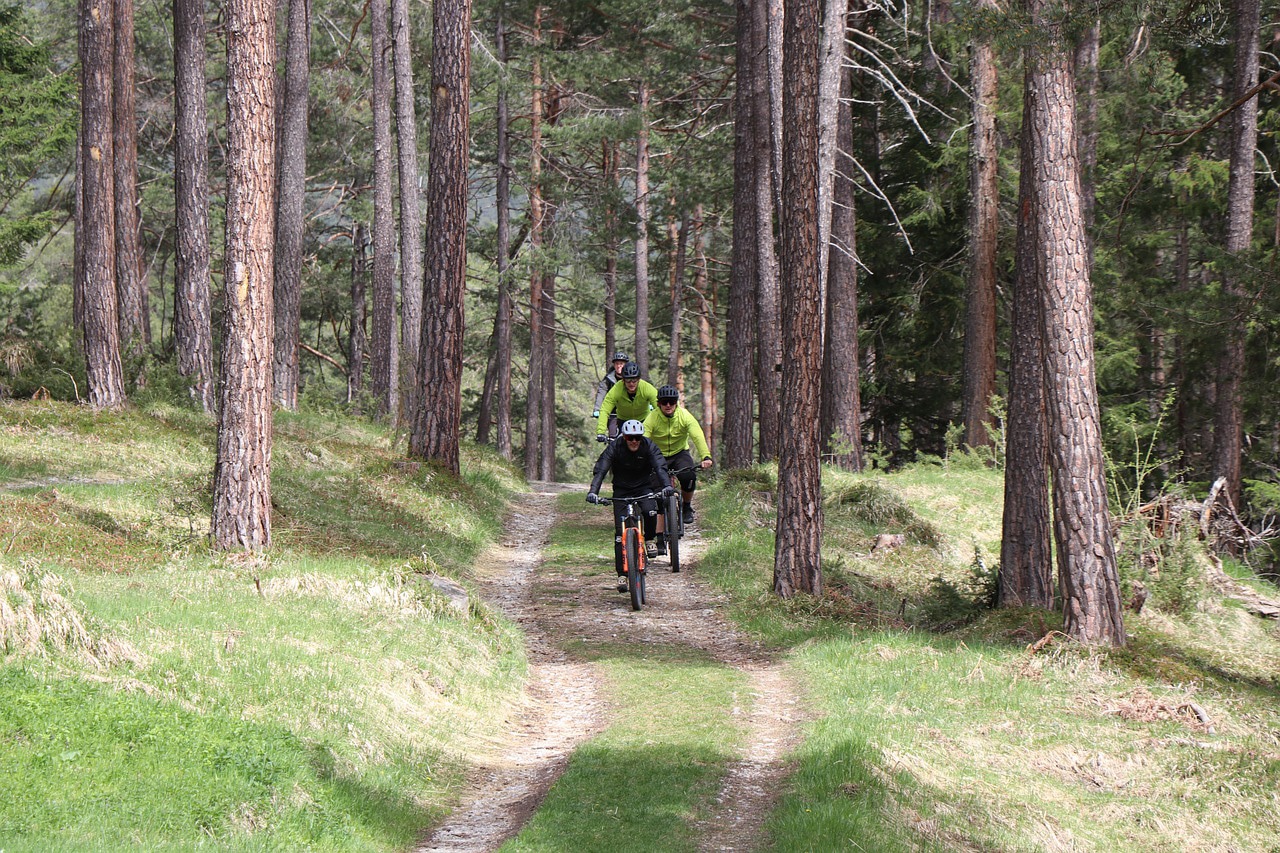 À travers les Pyrénées en VTT électrique